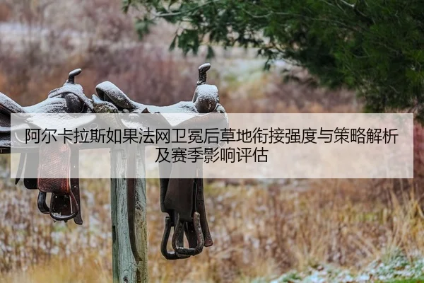 a-er-ka-la-si-ru-guo-fa-wang-wei-mian-hou-cao-di-xian-jie-qiang-du-yu-ce-lve-jie-xi-ji-sai-ji-ying-xiang-ping-gu-1-282.jpg