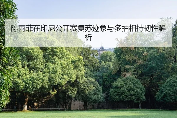 chen-yu-fei-zai-yin-ni-gong-kai-sai-fu-su-ji-xiang-yu-duo-pai-xiang-chi-ren-xing-jie-xi-1-977.jpg